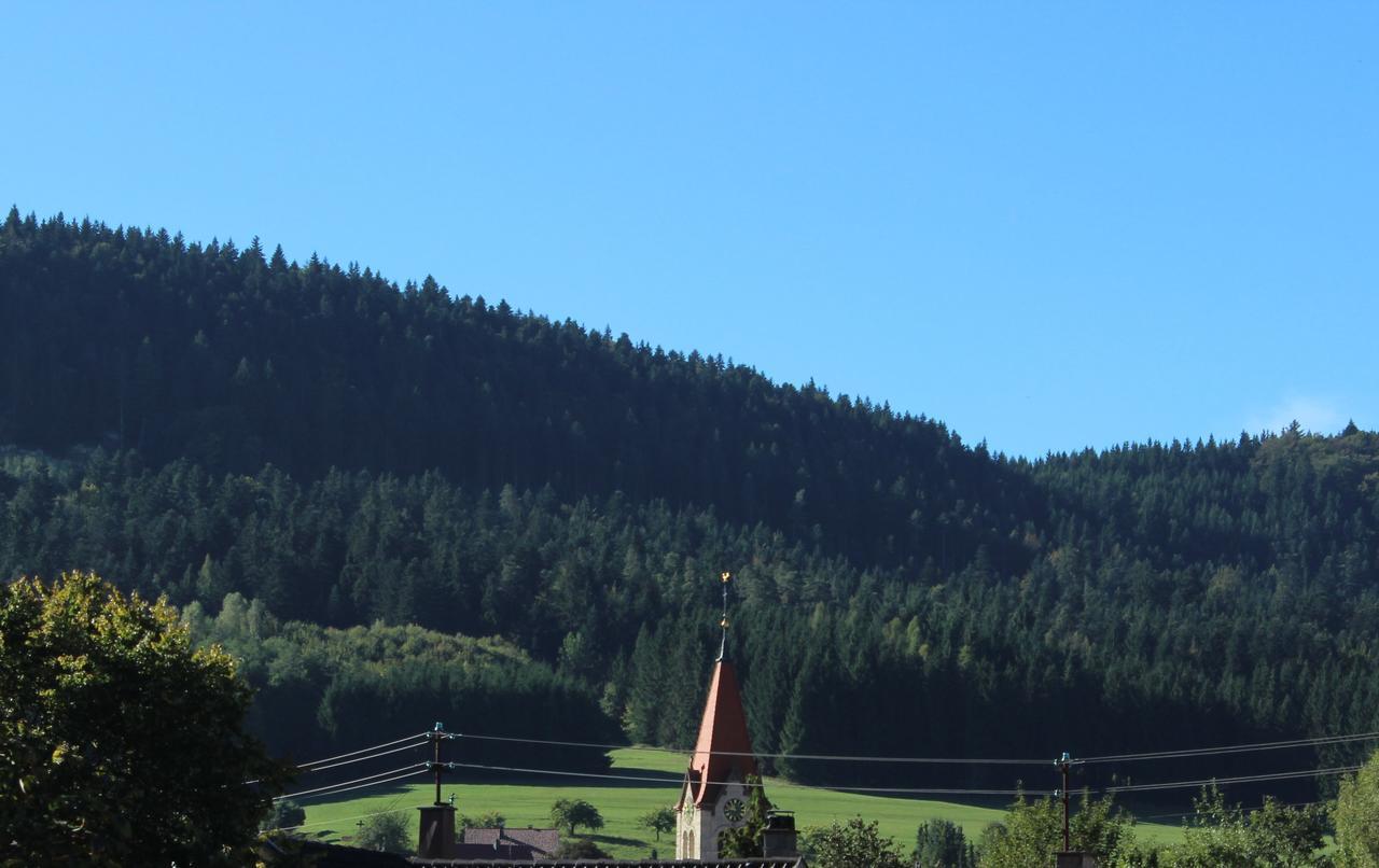 Hotel Heuberger Hof, Wehingen מראה חיצוני תמונה